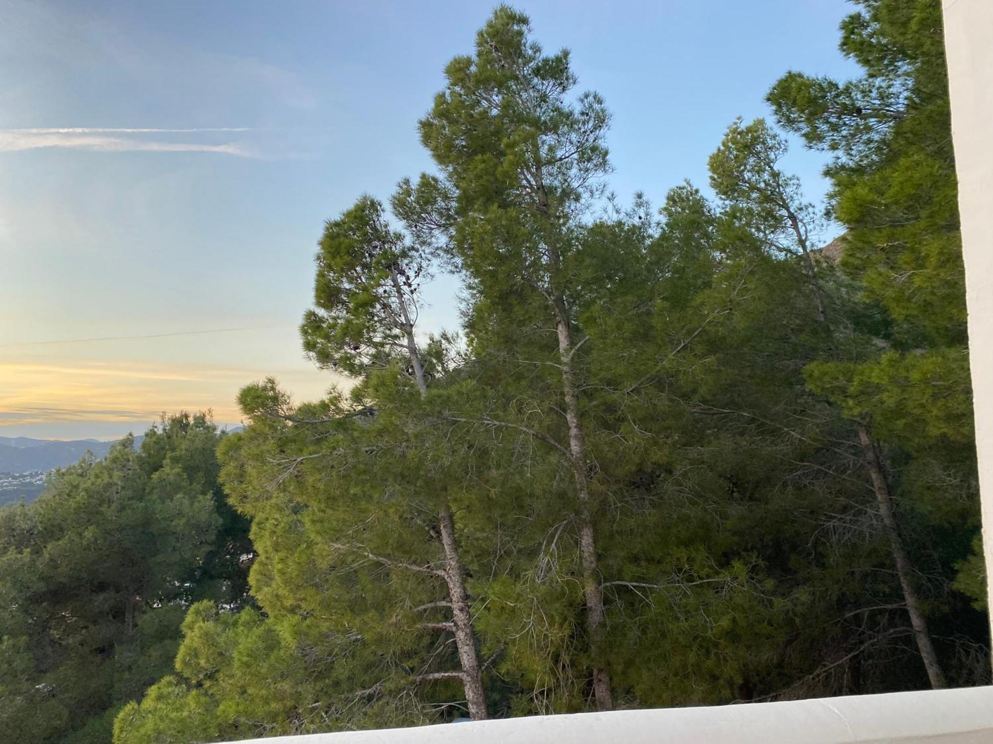 Precioso Apartamento Mandarinos Con Vistas Al Mar Nerja Eksteriør billede